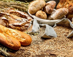 Scopri di più sull'articolo Aenean gravida vitae consequat lorem fermentum rutrum nunc id risus